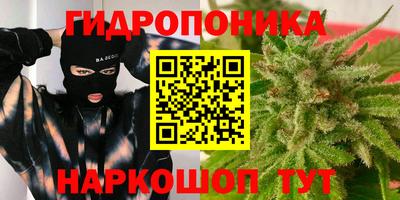 прущие крисы Аргун