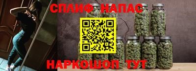 прущие крисы Аргун