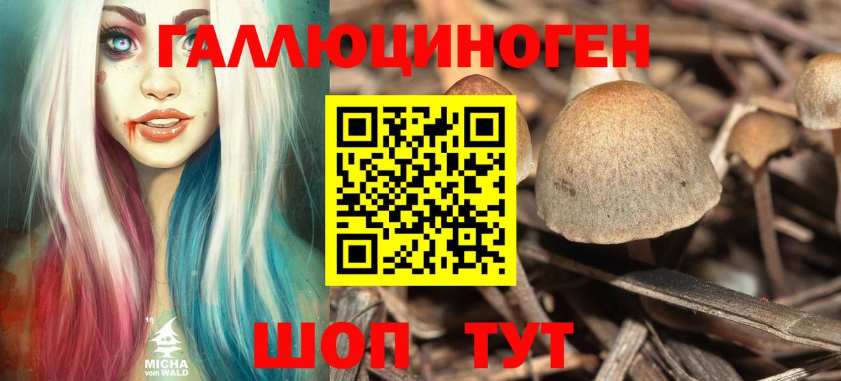 Псилоцибиновые грибы ЛСД  Вход с VPN  Псилоцибиновые грибы Cubensis  Аргун 