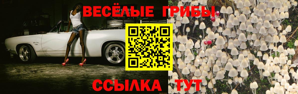  КОКАИН Аргун