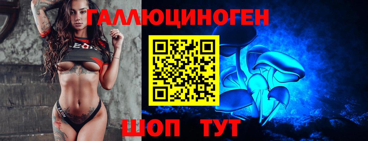Галлюциногенные грибы GOLDEN TEACHER Аргун